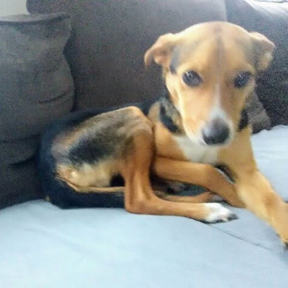 Not For Sale - Picture 3 of 5